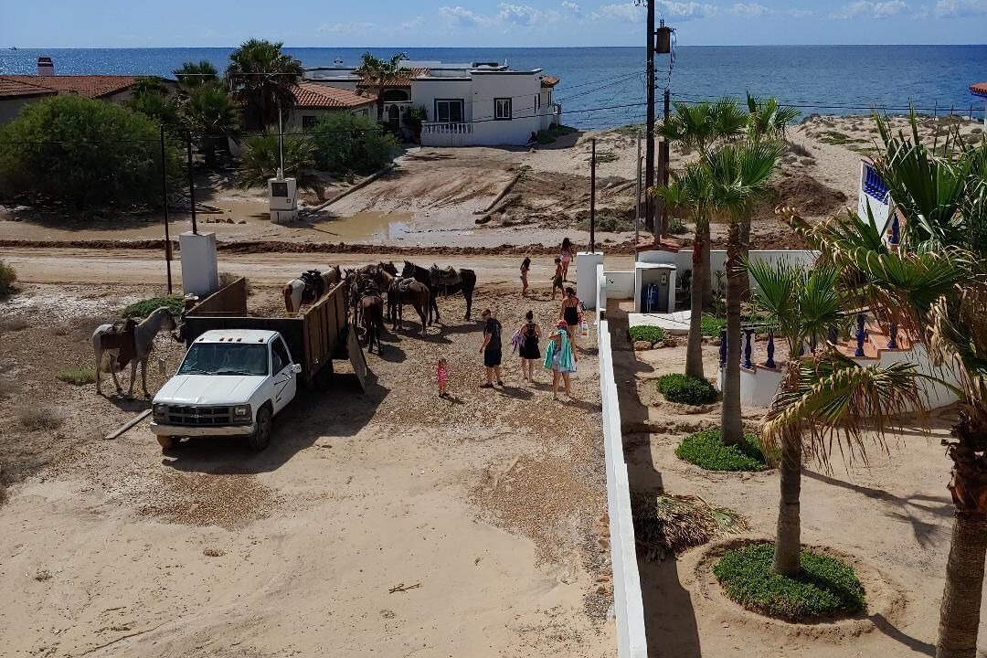 Photo of Others in Brisas del Golfo