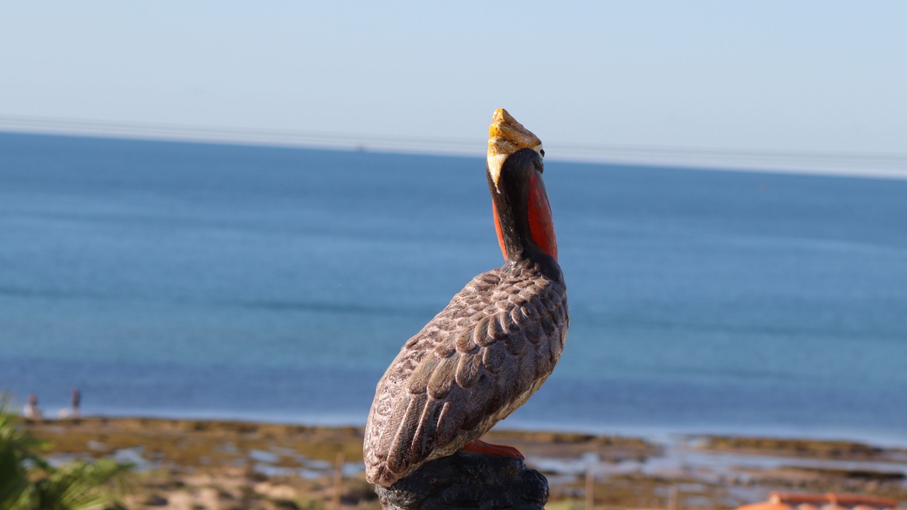 Photo of Others in Brisas del Golfo