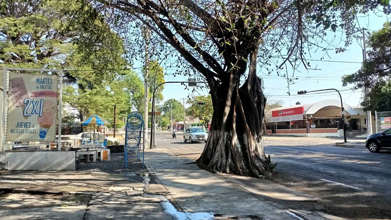 Photo of Outdoor in San Pablo