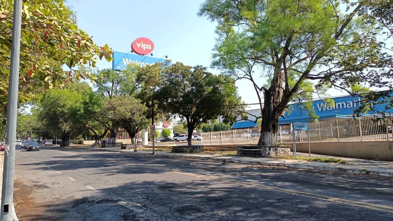 Photo of Outdoor in San Pablo