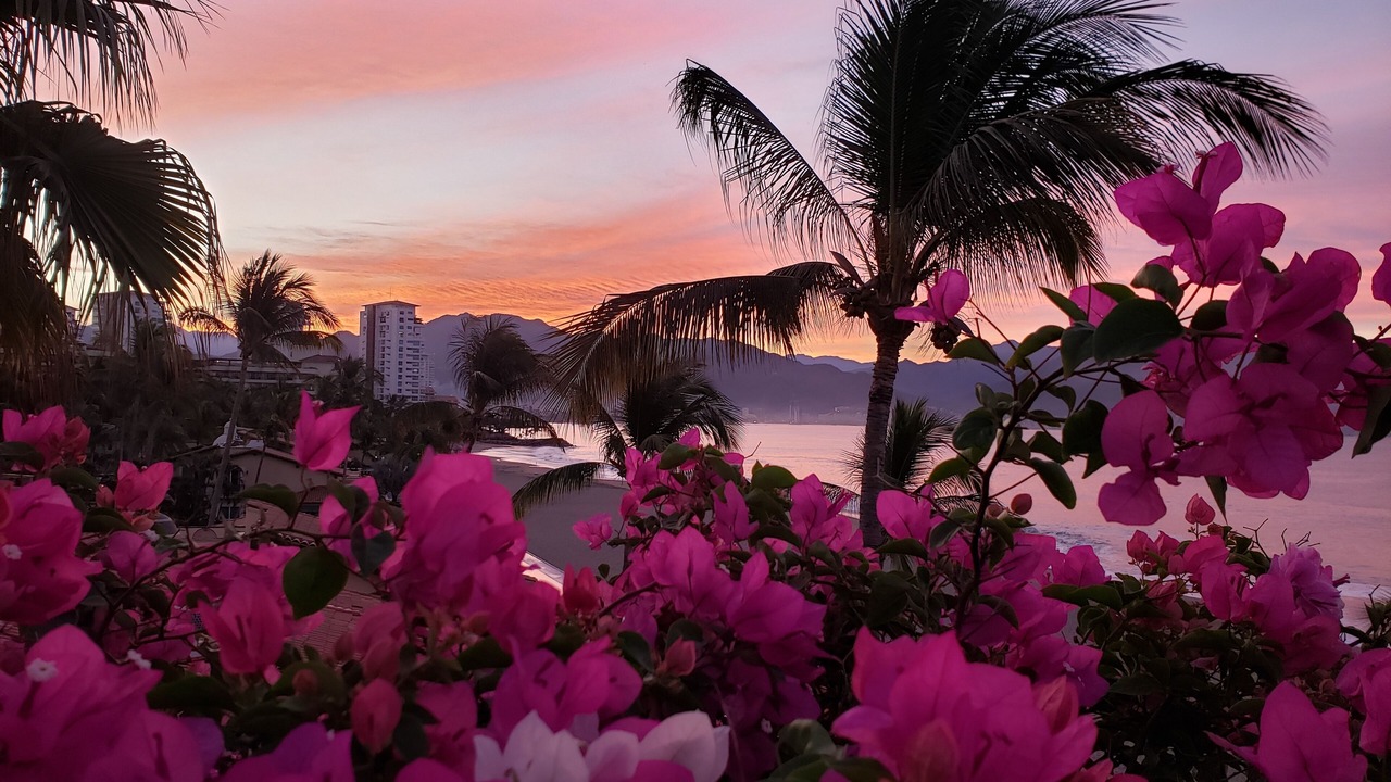 Photo of Outdoor in Marina Vallarta