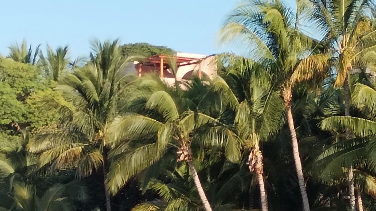 Photo of Others in Chacala