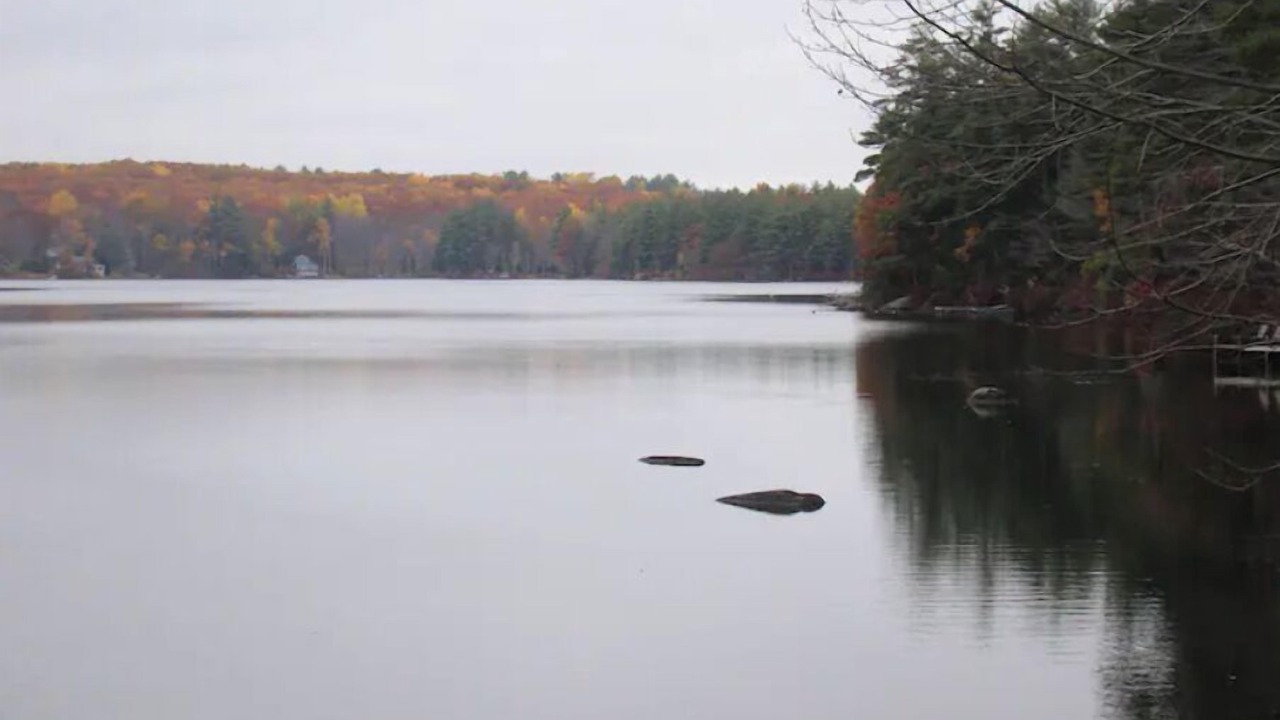 Photo of Outdoor in Lyman
