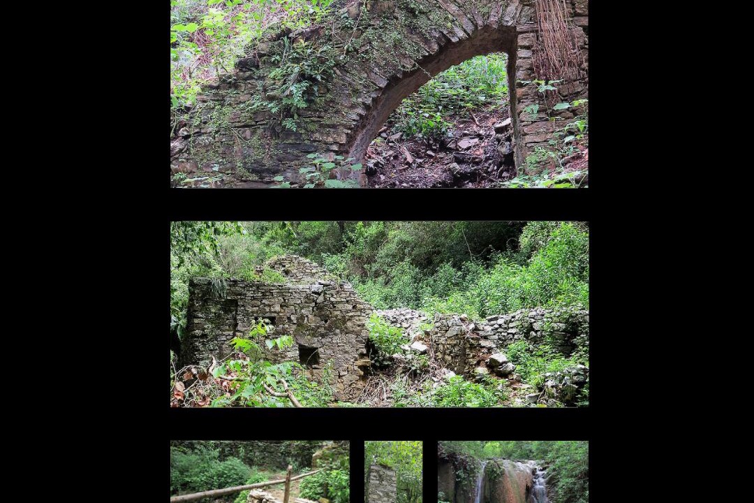 Photo of Others in Pinal de Amoles
