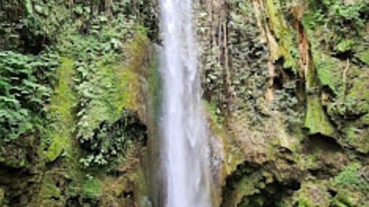 Photo of Others in Pinal de Amoles