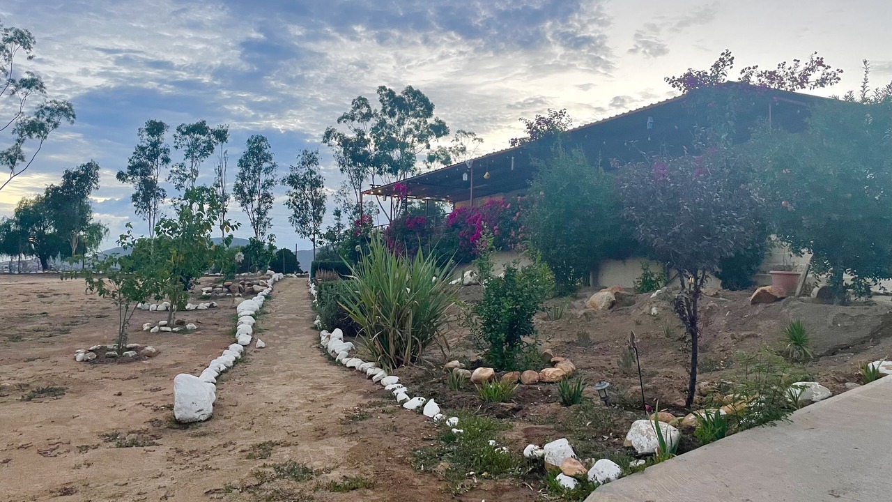 Photo of Outdoor in Valle de Guadalupe