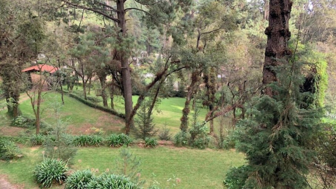 Photo of Outdoor in Huitzilac