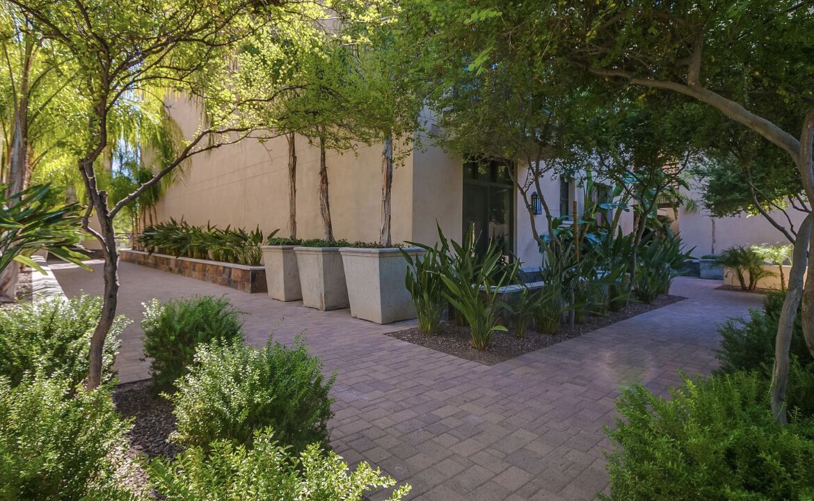 Photo of Outdoor in Alta Vista Park