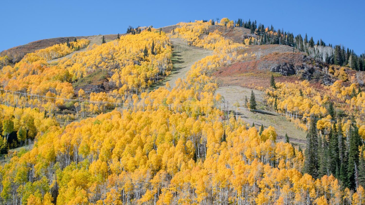 Photo of Others in Empire Pass