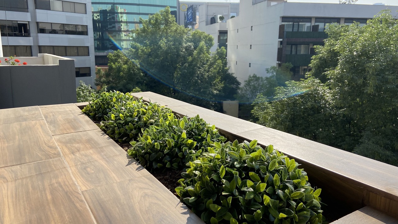 Photo of Outdoor in Miguel Hidalgo