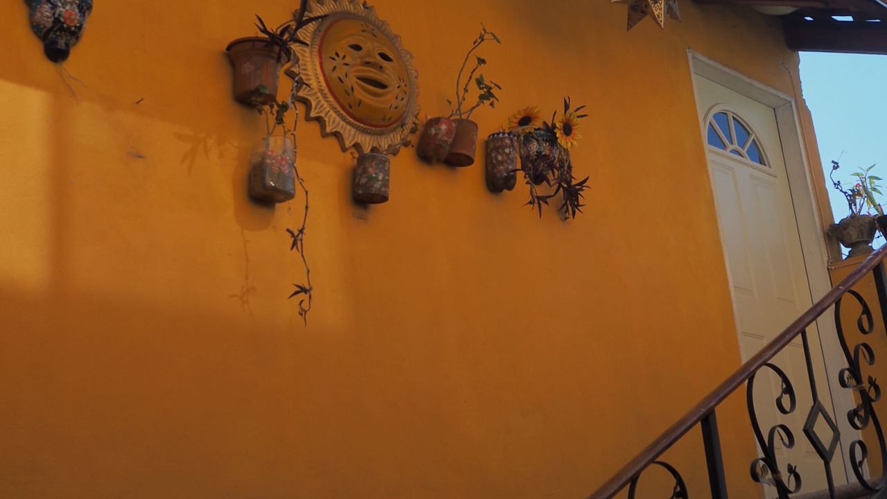 Photo of Outdoor in Coatepec