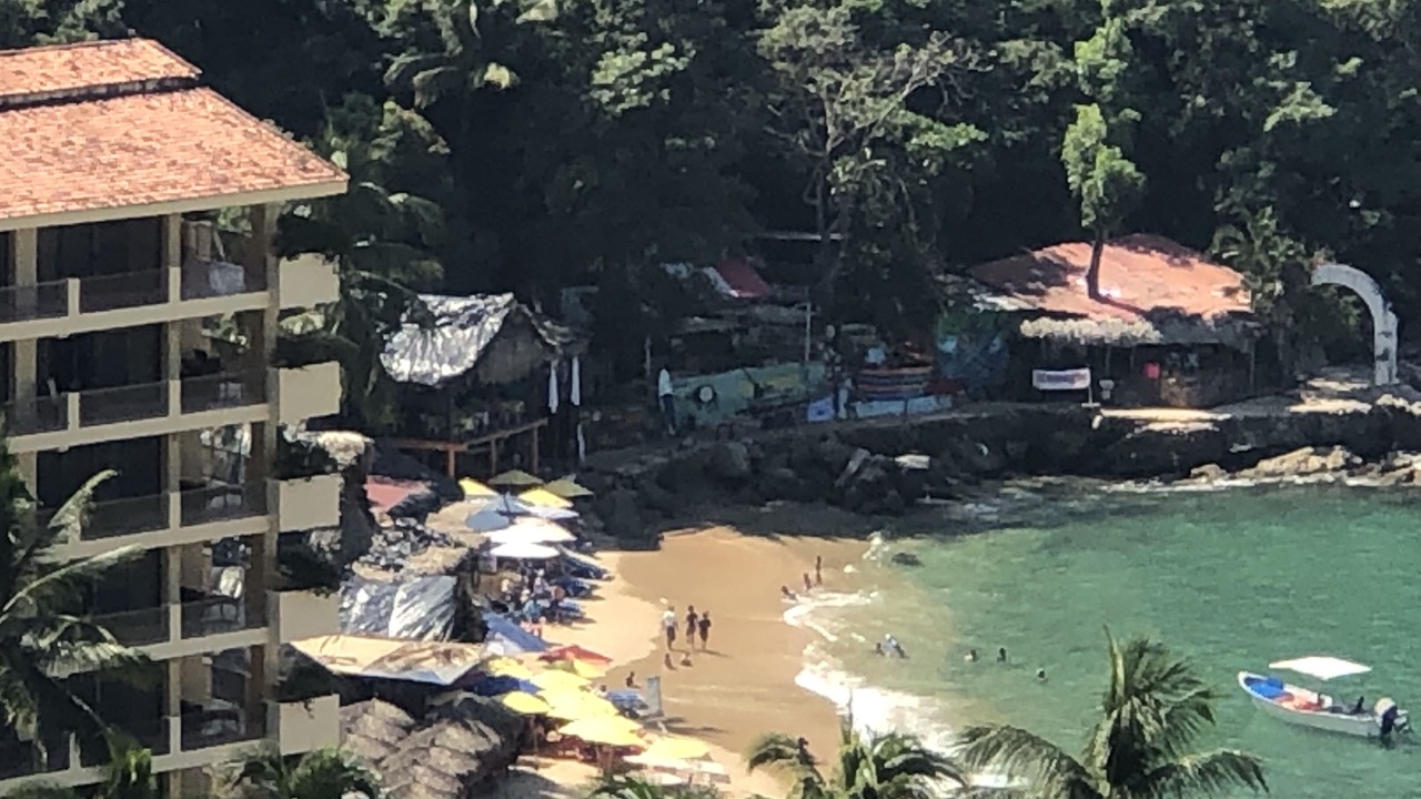 Photo of Others in Puerto Vallarta