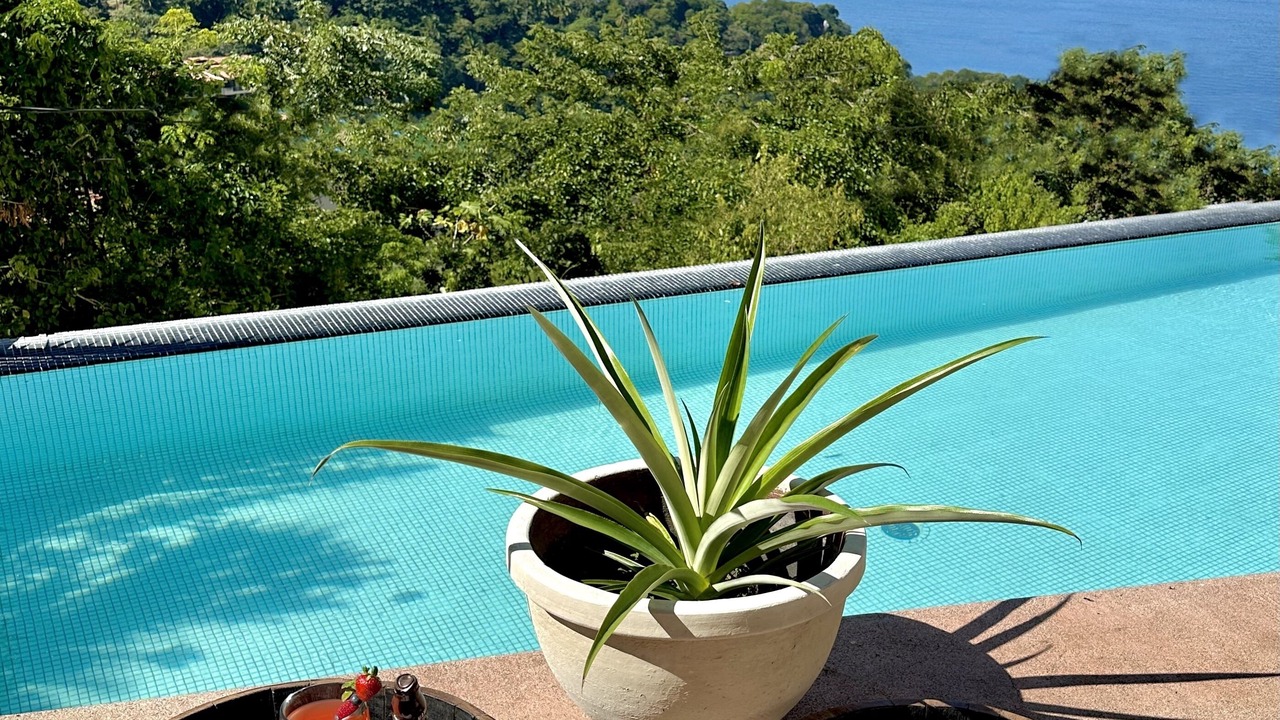 Photo of Outdoor in Puerto Vallarta