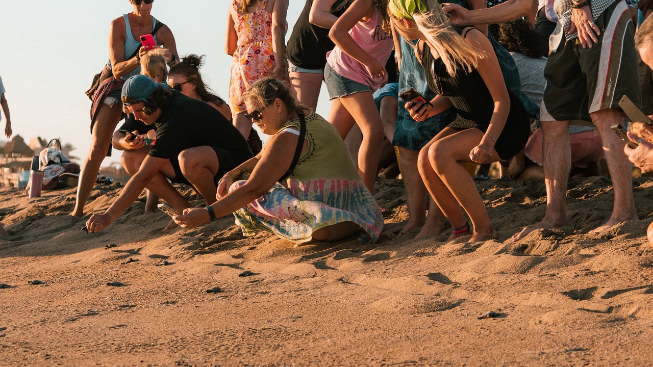 Photo of Others in Barra de Navidad