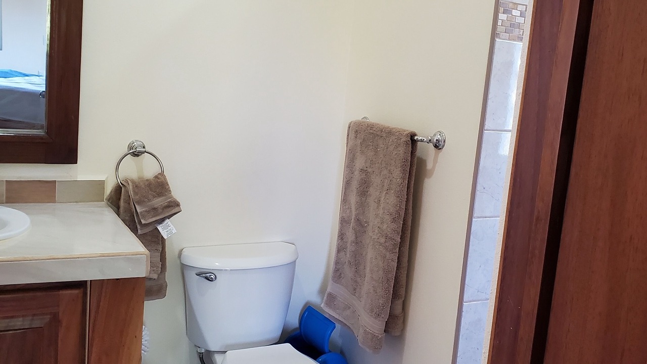 Photo of Bathroom in La Manzanilla