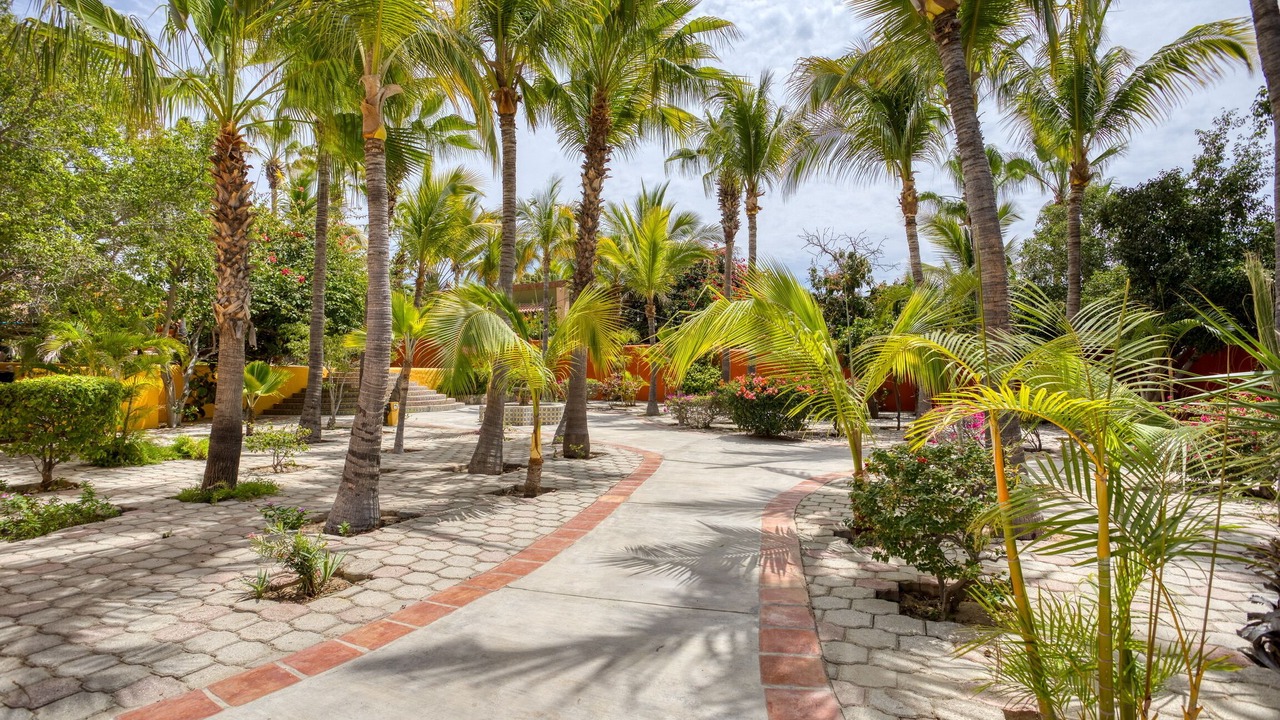 Photo of Outdoor in Los Barriles