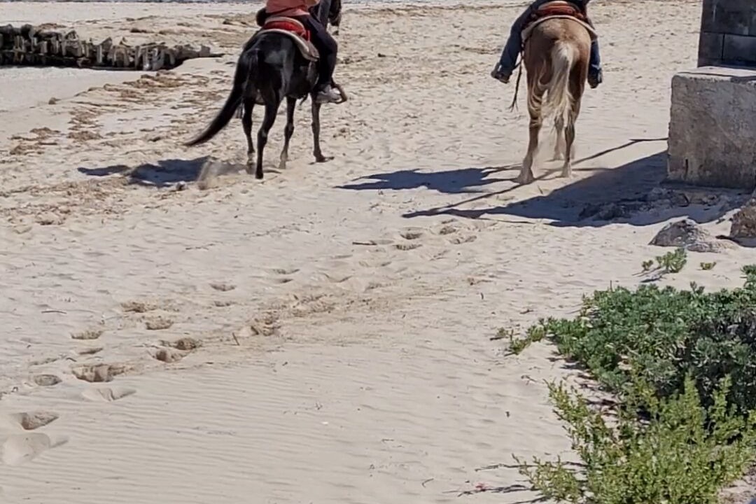 Photo of Others in Chuburna Puerto