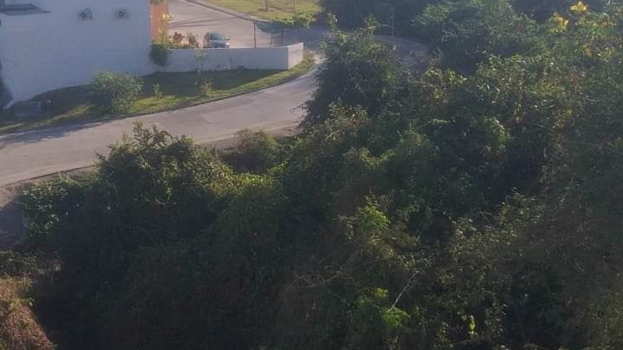 Photo of Outdoor in Ixtapa