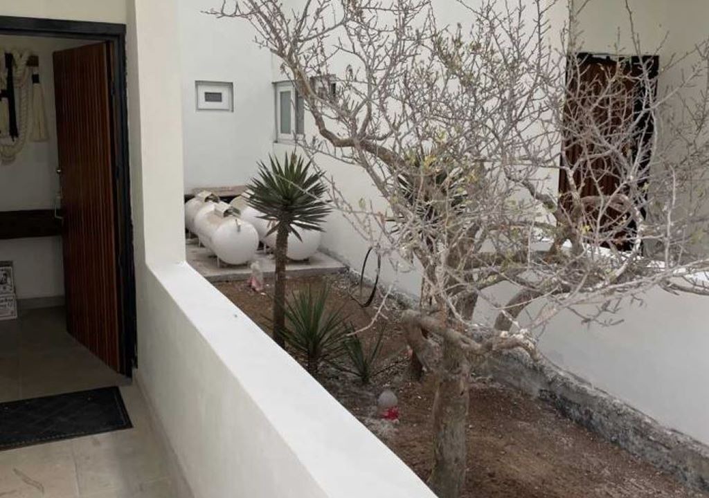 Photo of Outdoor in Jimenez