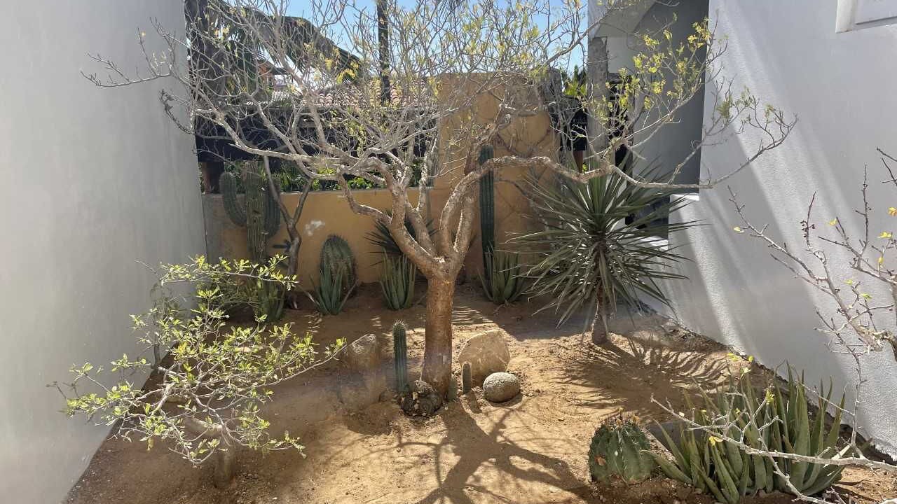 Photo of Outdoor in Jimenez