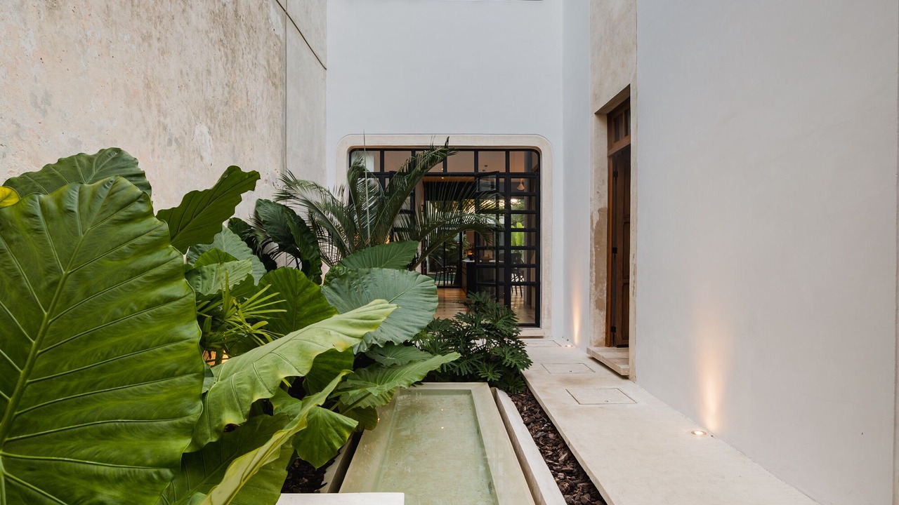 Photo of Outdoor in Centro