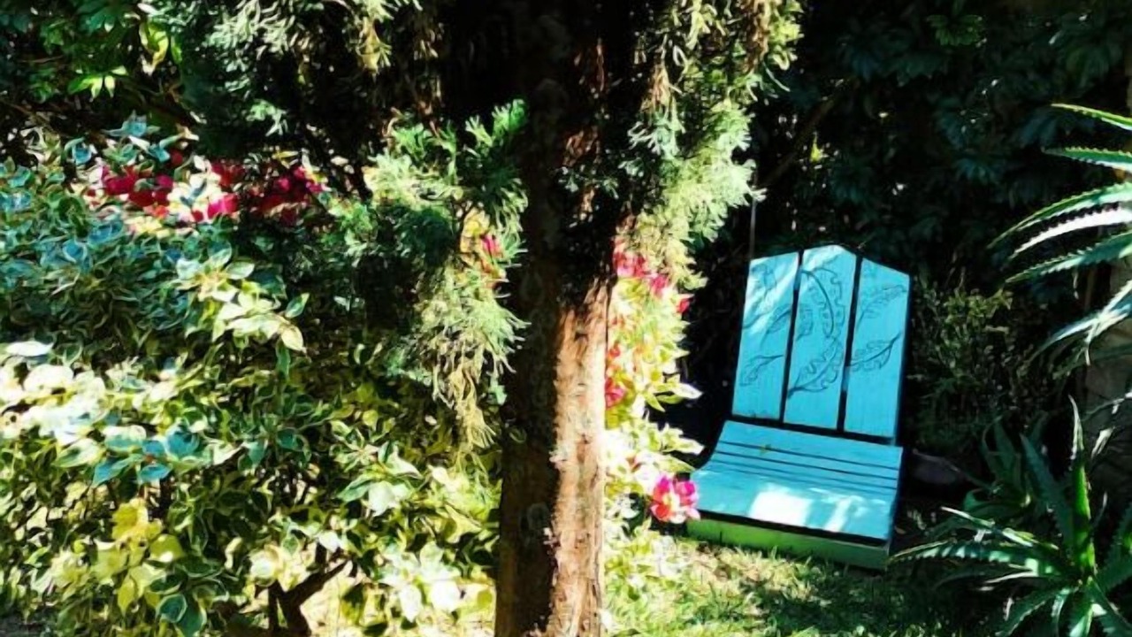 Photo of Outdoor in Santo Domingo