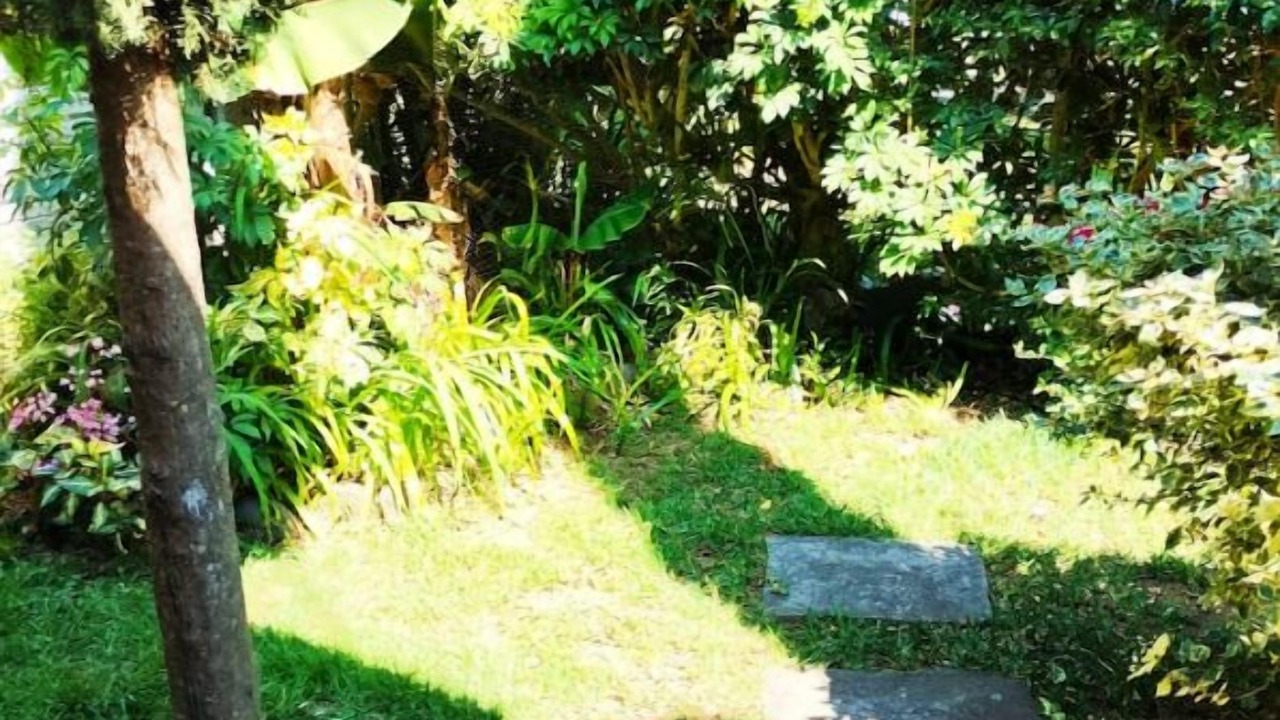 Photo of Outdoor in Santo Domingo