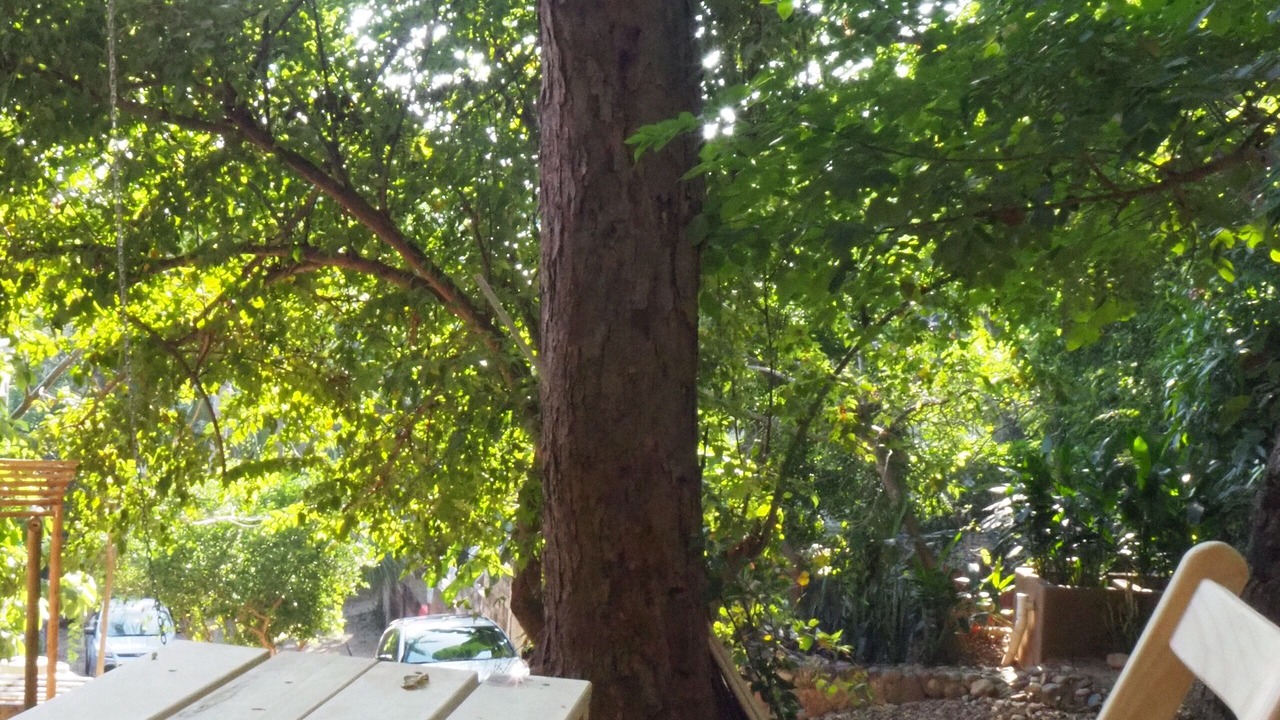 Photo of Outdoor in Mazunte