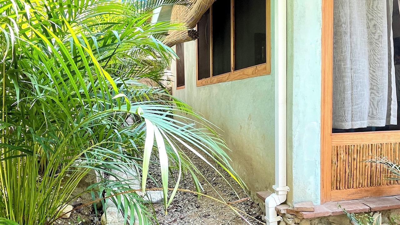 Photo of Outdoor in Mazunte