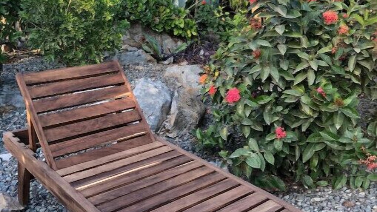 Photo of Outdoor in Troncones