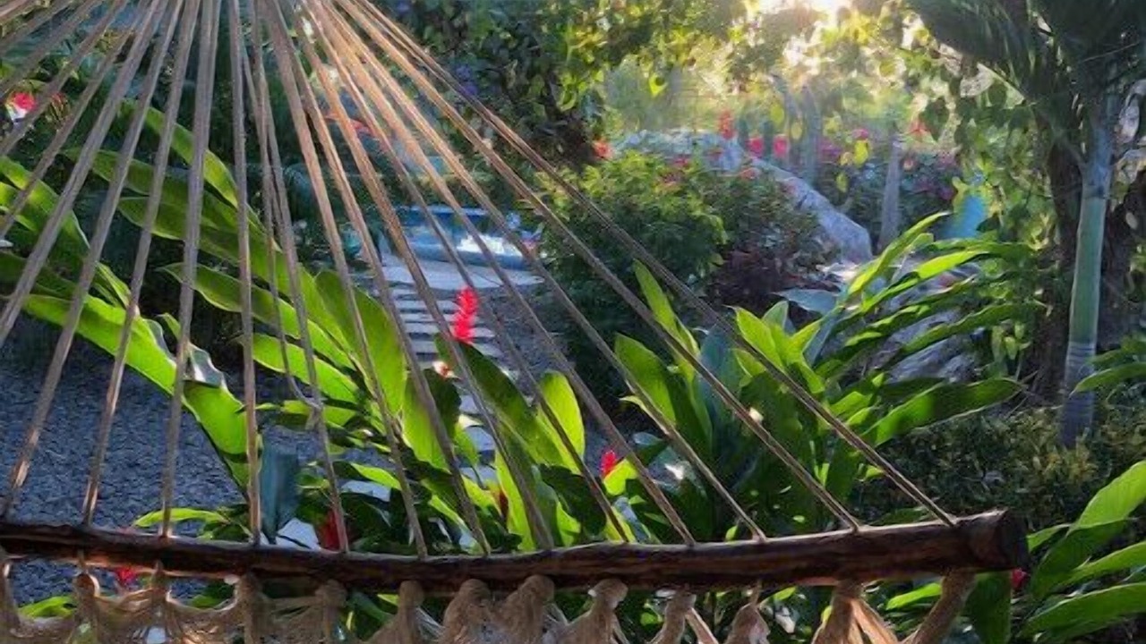 Photo of Outdoor in Troncones