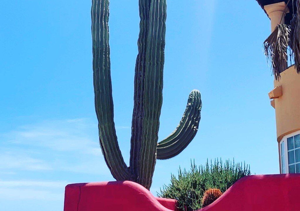 Photo of Outdoor in San Felipe