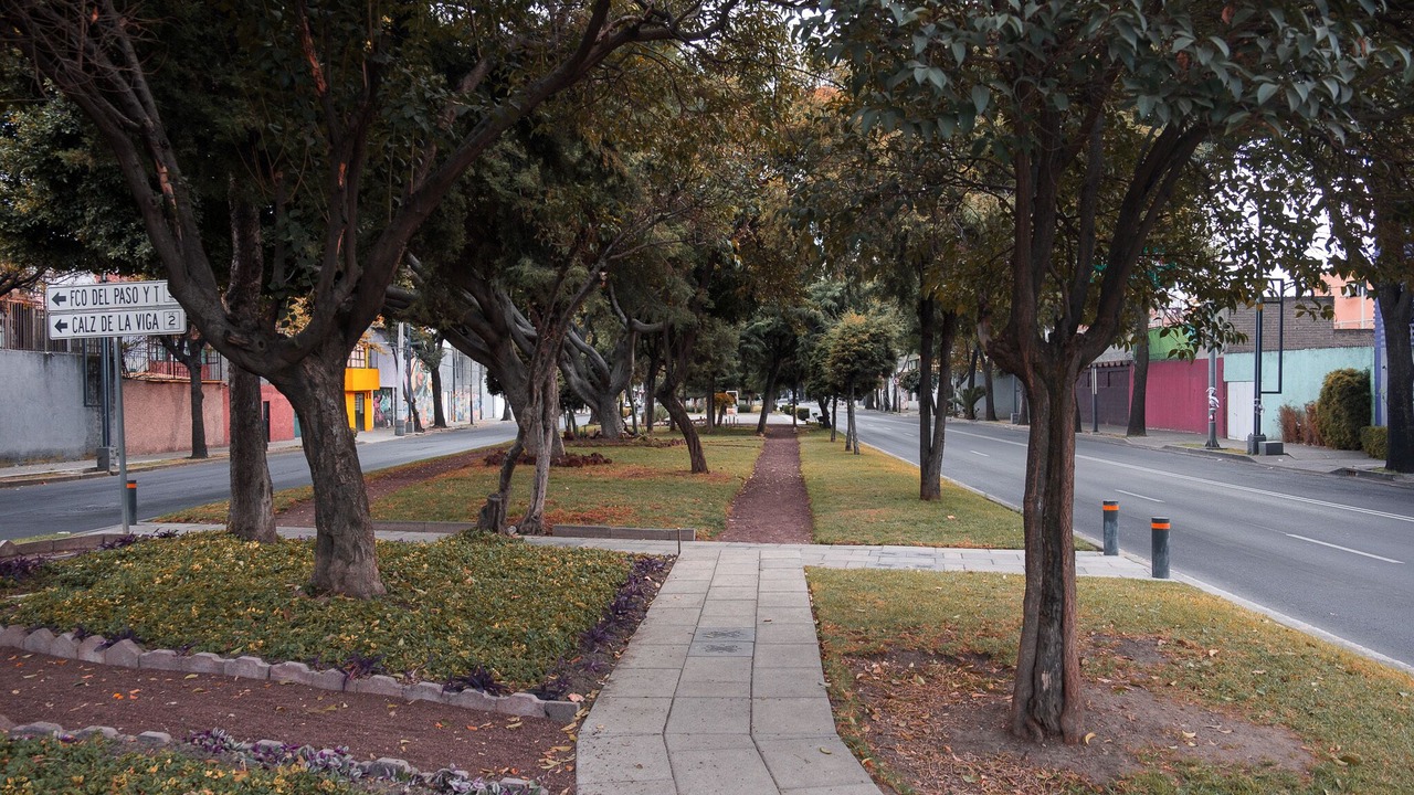 Photo of Outdoor in Ixtacalco