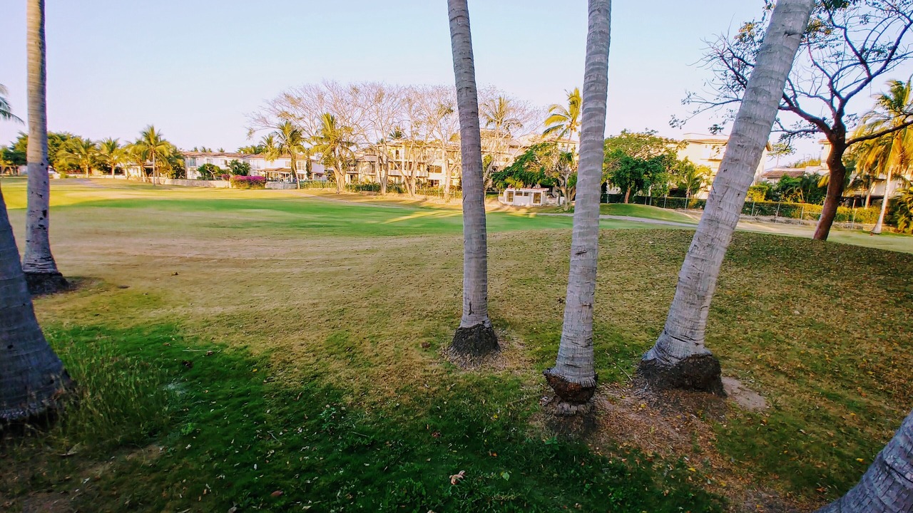 Photo of Outdoor in Marina Vallarta
