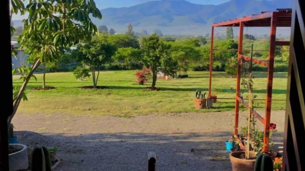 Photo of Outdoor in Tlacolula de Matamoros