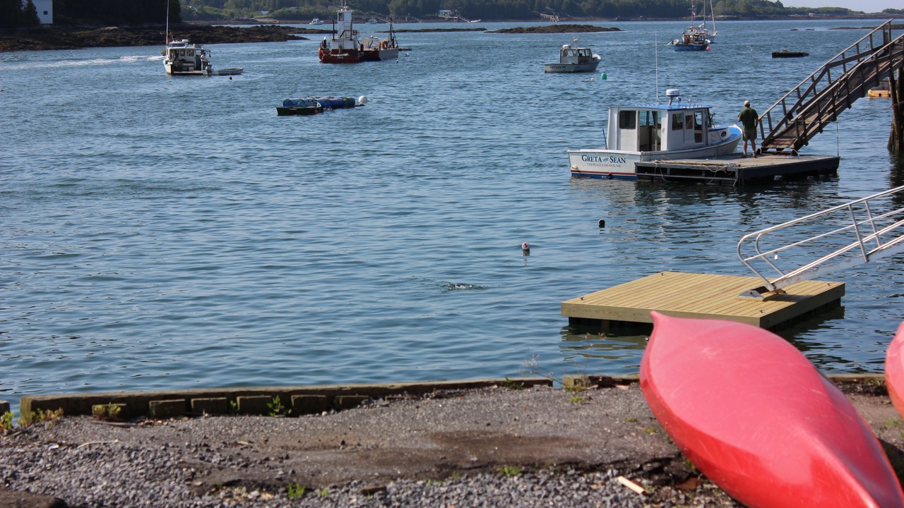 Photo of Others in Harpswell
