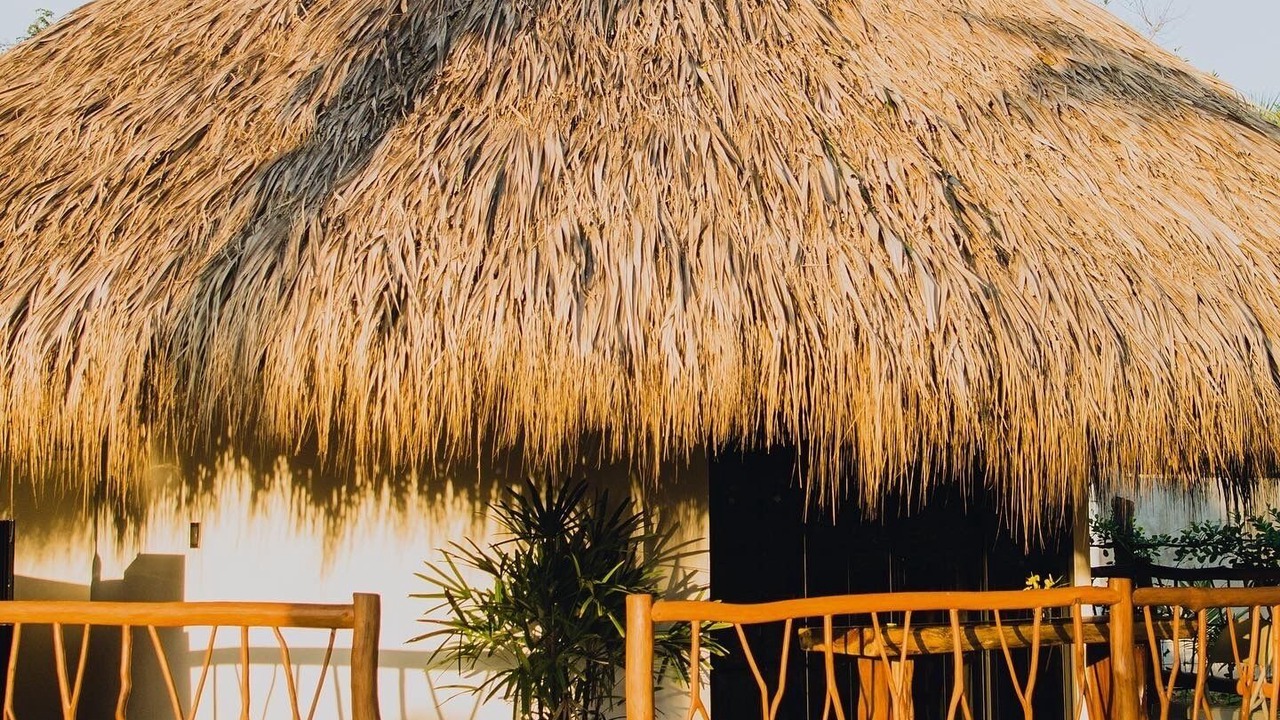 Photo of Outdoor in Troncones