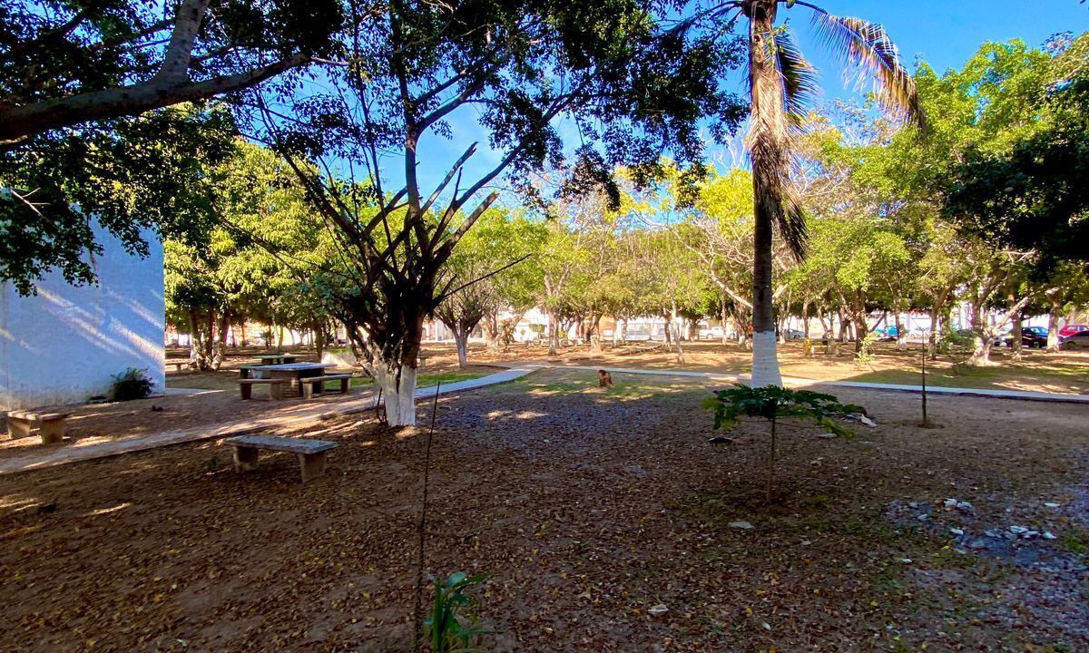 Photo of Outdoor in Lomas de Mazatlan