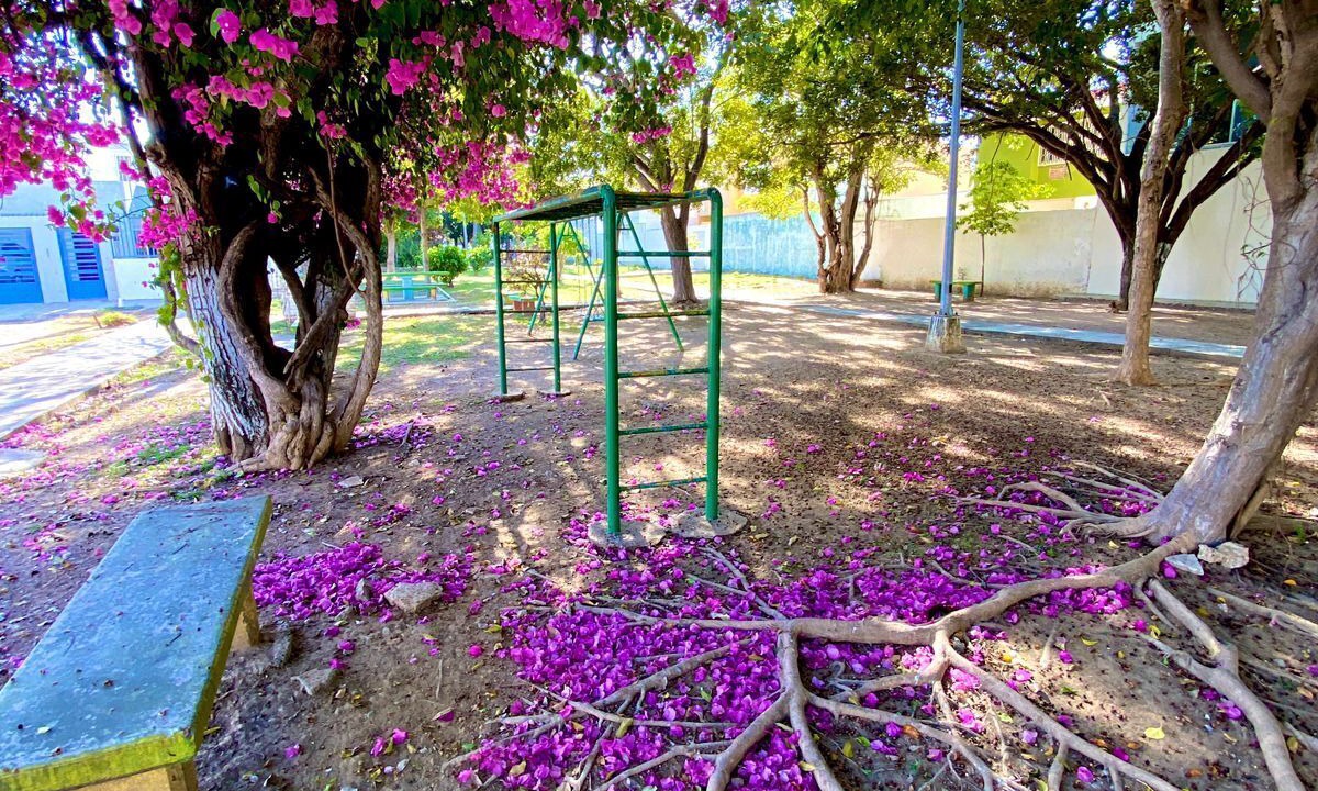 Photo of Outdoor in Lomas de Mazatlan