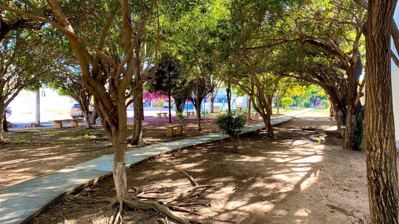 Photo of Outdoor in Lomas de Mazatlan