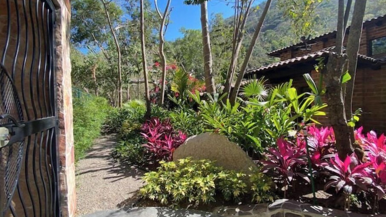 Photo of Outdoor in Boca de Tomatlan