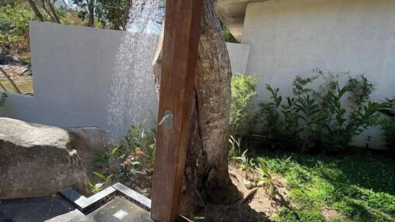 Photo of Outdoor in Boca de Tomatlan