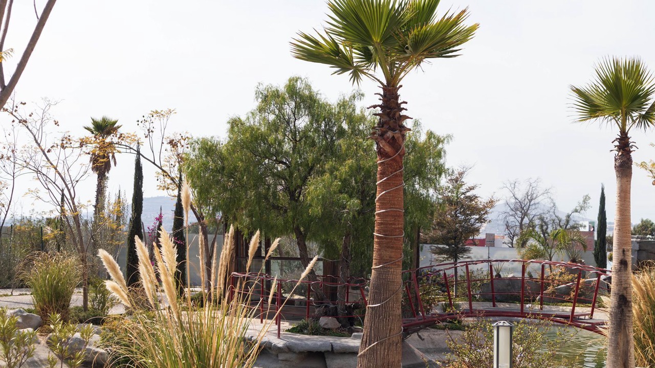 Photo of Outdoor in Pachuca de Soto
