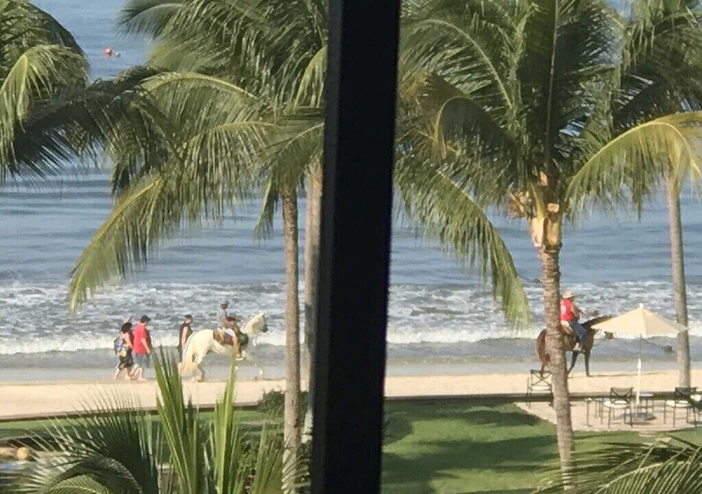 Photo of Others in Flamingos