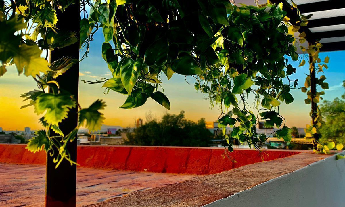 Photo of Outdoor in Guadalajara