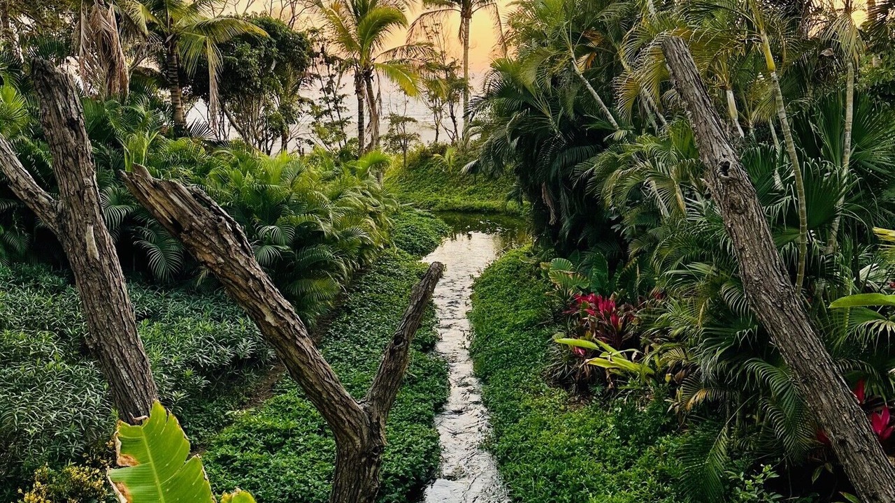 Photo of Outdoor in Nuevo Vallarta