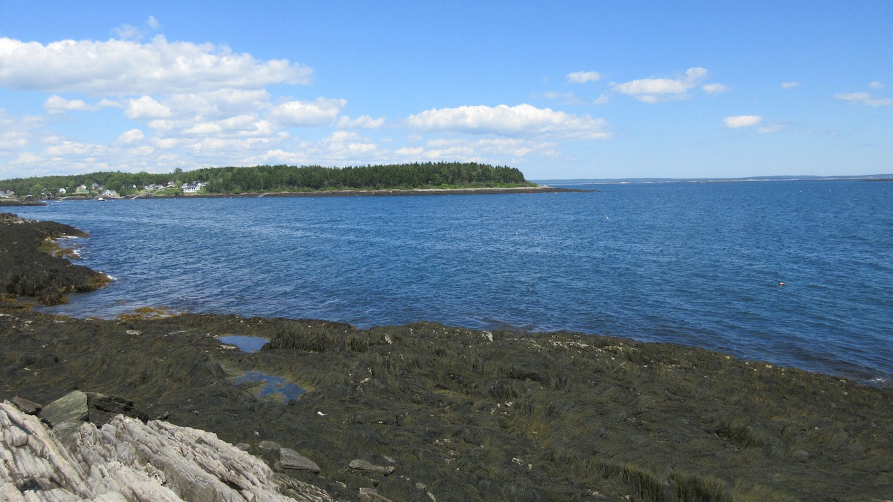 Photo of Others in Mid-Coast and Islands