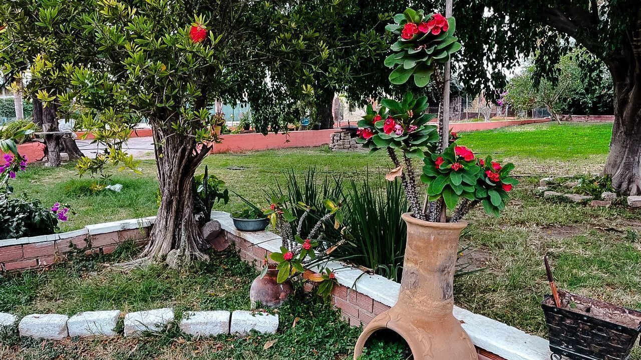 Photo of Outdoor in Tlajomulco de Zuniga