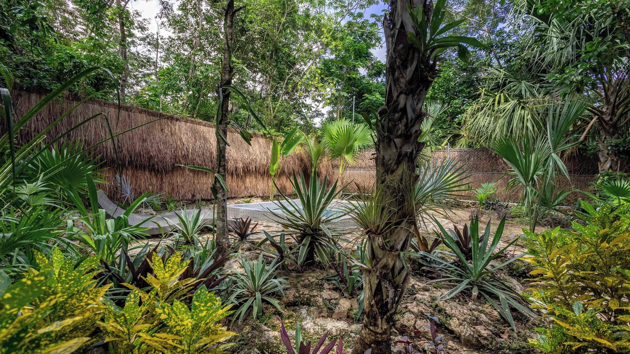 Photo of Outdoor in Buenavista