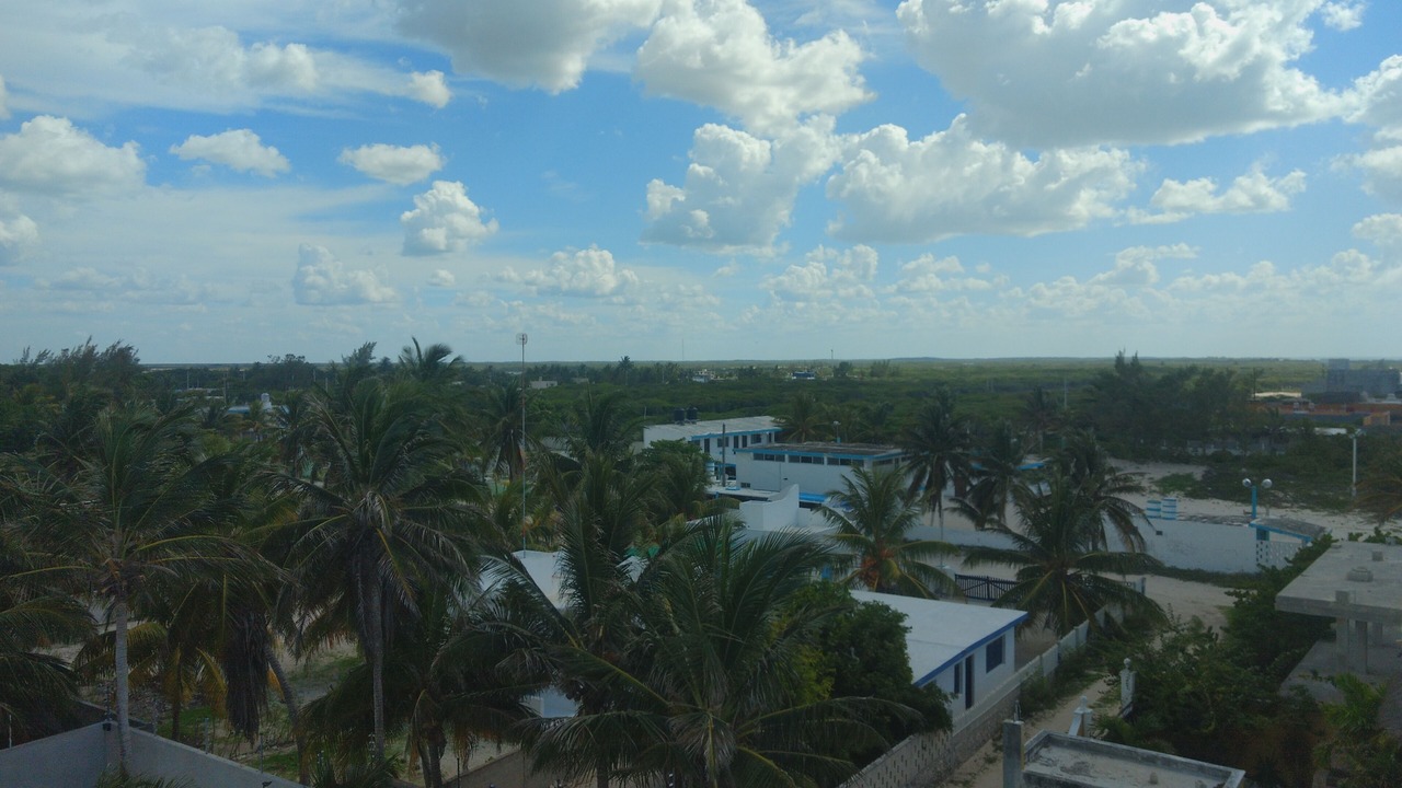 Photo of Others in Chuburna Puerto